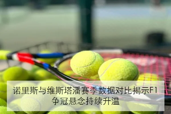 诺里斯与维斯塔潘赛季数据对比揭示F1争冠悬念持续升温